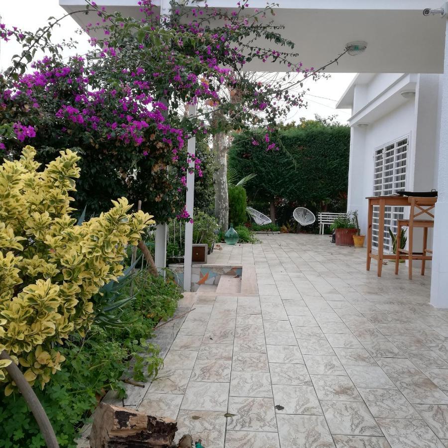 Il Platano Di Nathaly Hotel Bari Bagian luar foto