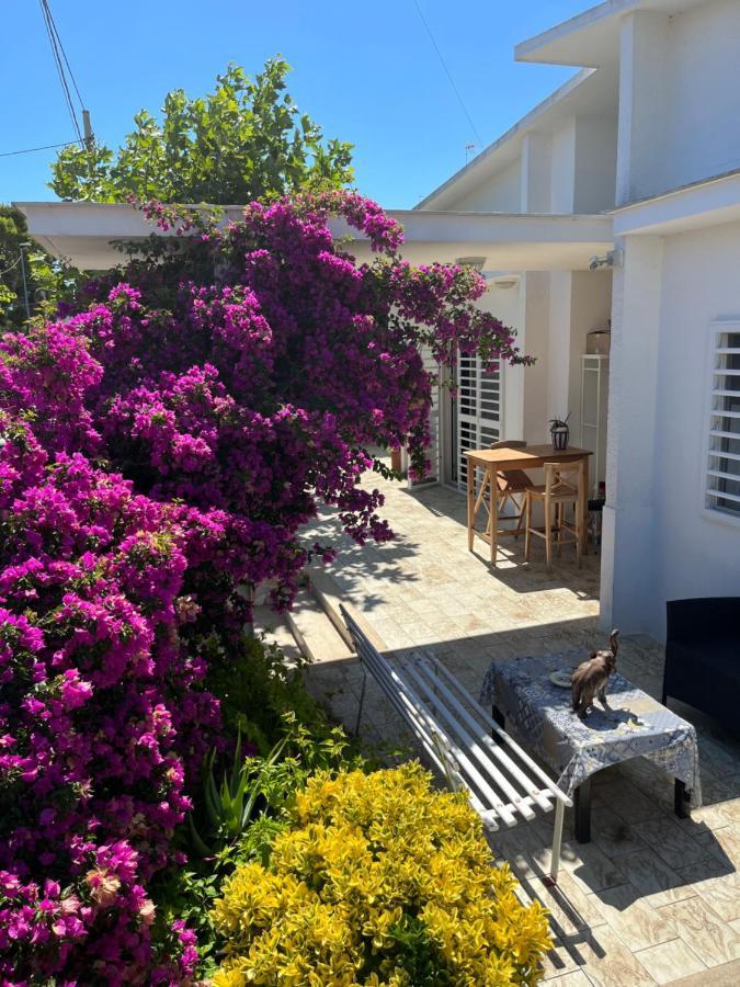 Il Platano Di Nathaly Hotel Bari Bagian luar foto